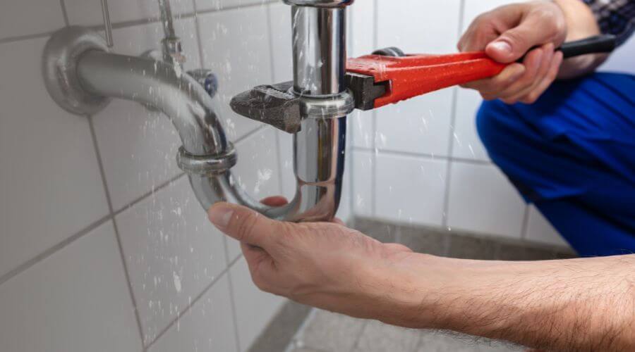 Leak Detection Services in Carsonville, MI